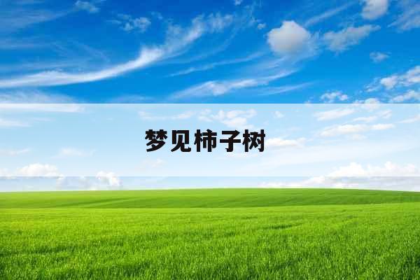 梦见柿子树 梦见柿子树