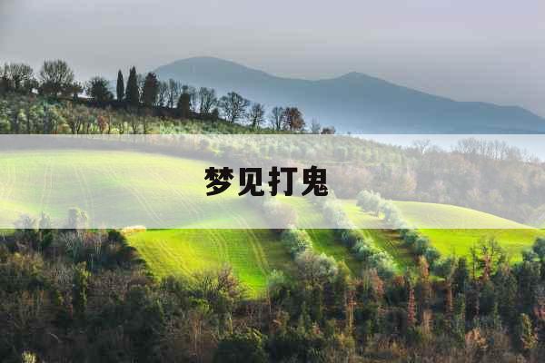 梦见打鬼 