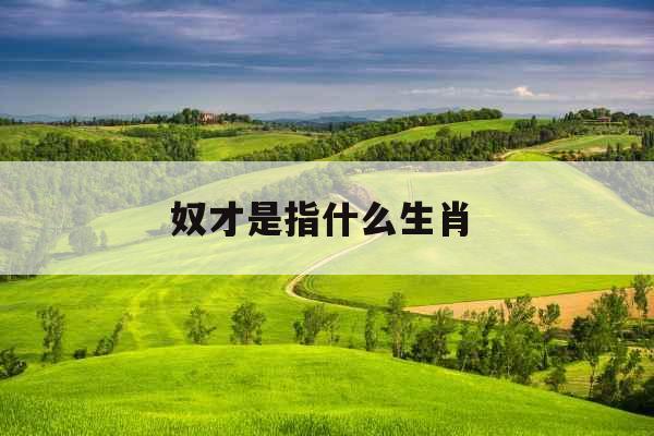 奴才是指什么生肖 