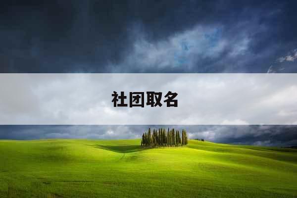 社团取名 