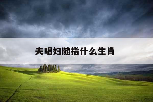 夫唱妇随指什么生肖 