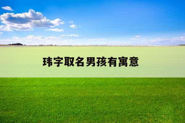 玮字取名男孩有寓意 