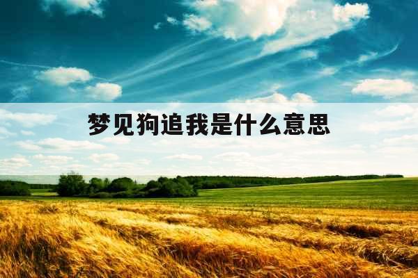 梦见狗追我是什么意思 