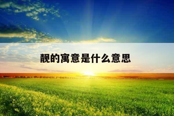 靓的寓意是什么意思 