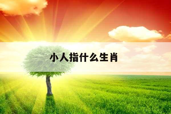 小人指什么生肖 