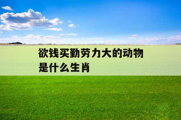 欲钱买勤劳力大的动物是什么生肖 