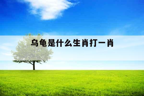 乌龟是什么生肖打一肖 