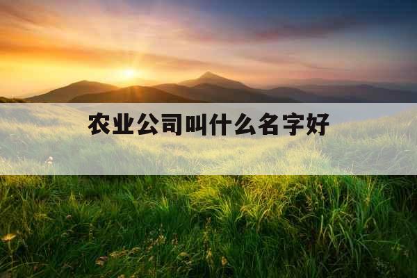 农业公司叫什么名字好 