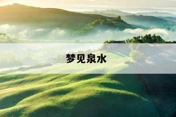梦见泉水 