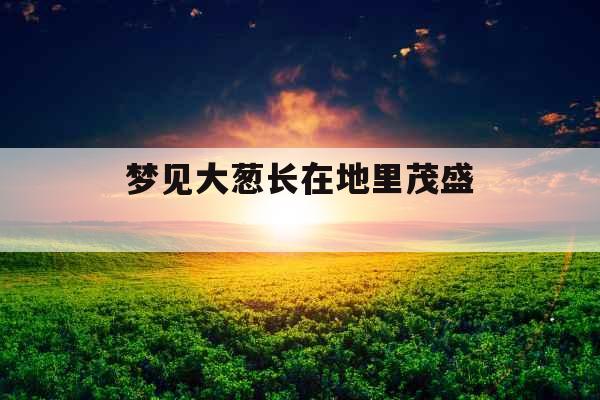 梦见大葱长在地里茂盛 