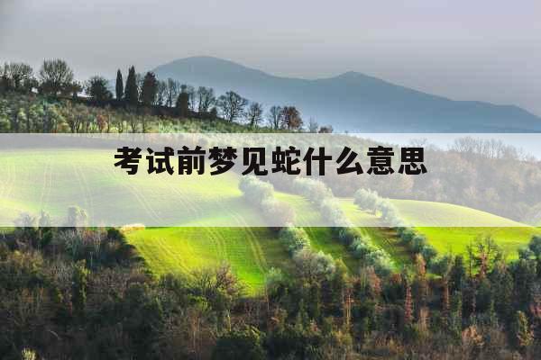 考试前梦见蛇什么意思 