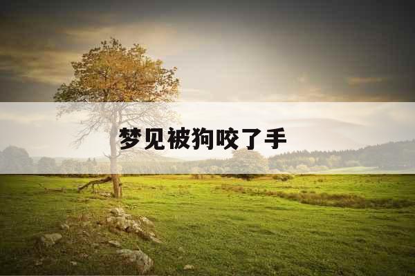梦见被狗咬了手 