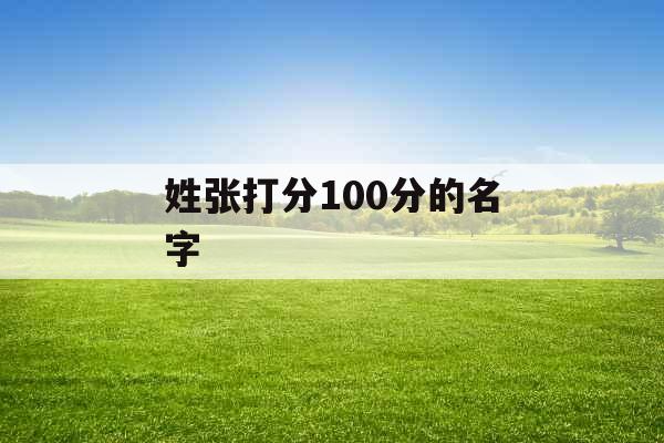 姓张打分100分的名字 