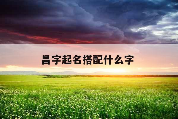 昌字起名搭配什么字 