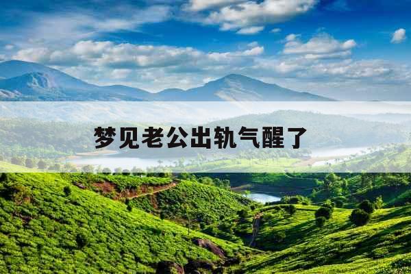 梦见老公出轨气醒了 