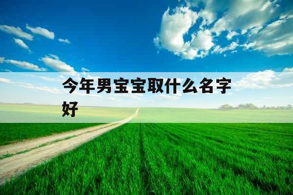 今年男宝宝取什么名字好 