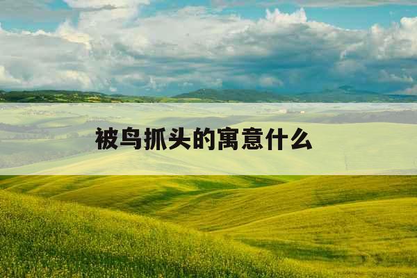 被鸟抓头的寓意什么 