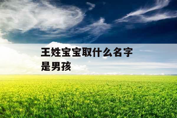 王姓宝宝取什么名字 是男孩 
