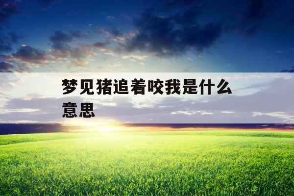 梦见猪追着咬我是什么意思 