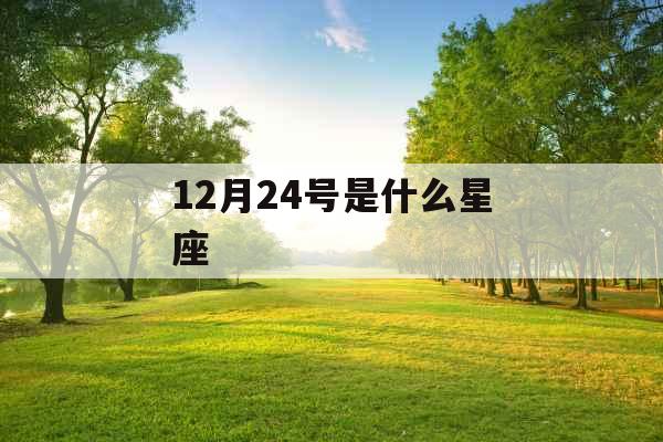 12月24号是什么星座 