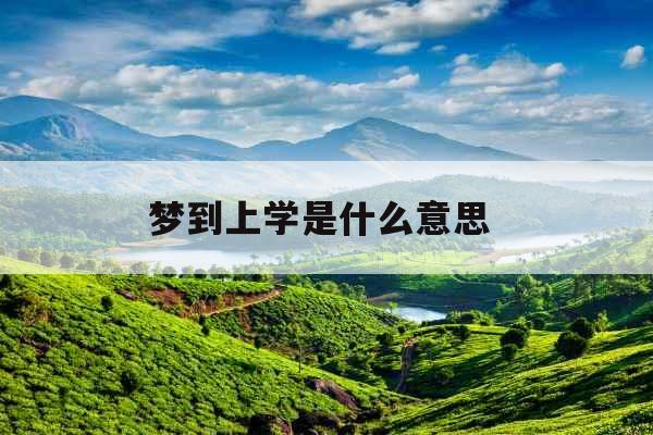 梦到上学是什么意思