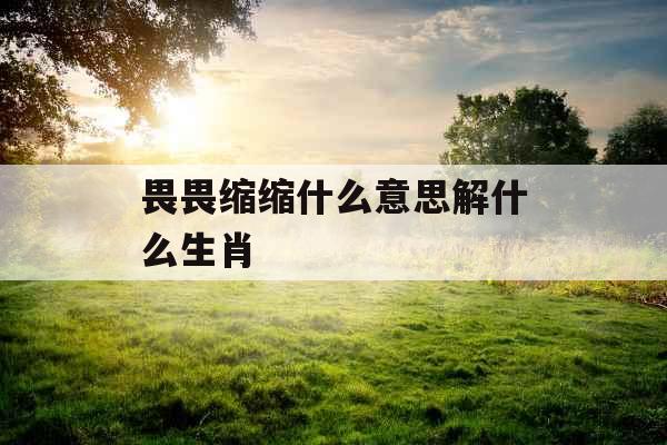 畏畏缩缩什么意思解什么生肖 