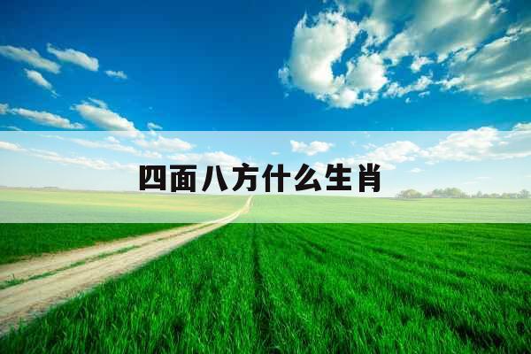 四面八方什么生肖 