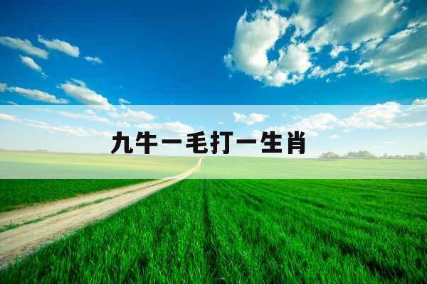 九牛一毛打一生肖 