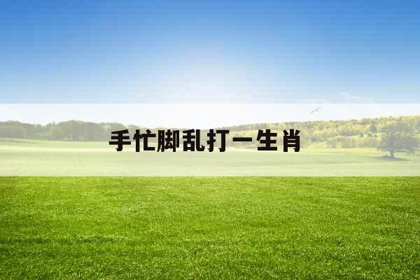 手忙脚乱打一生肖 