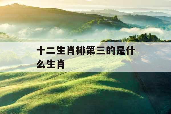 十二生肖排第三的是什么生肖 