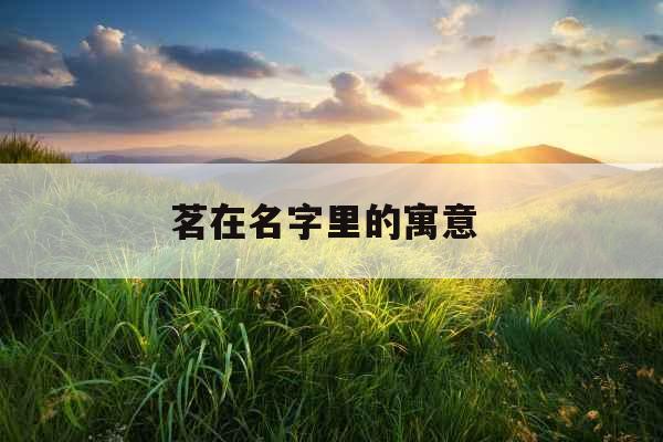 茗在名字里的寓意 