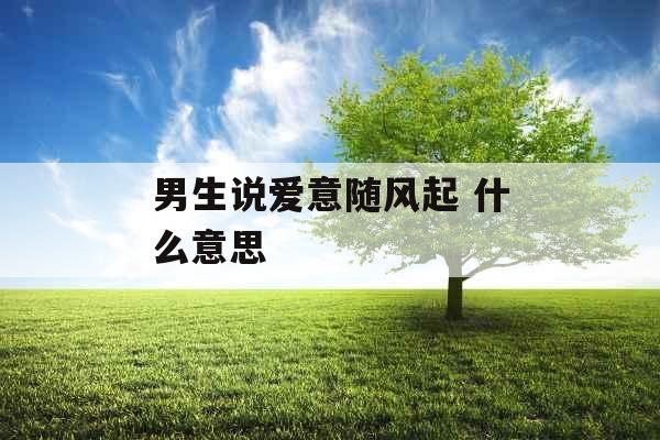 男生说爱意随风起 什么意思 