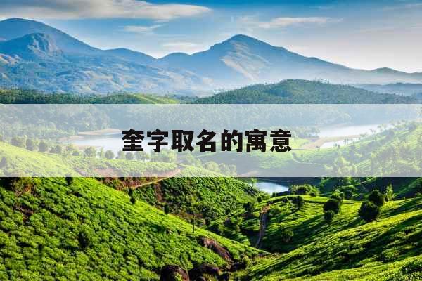 奎字取名的寓意 