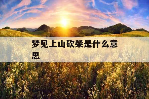 梦见上山砍柴是什么意思 
