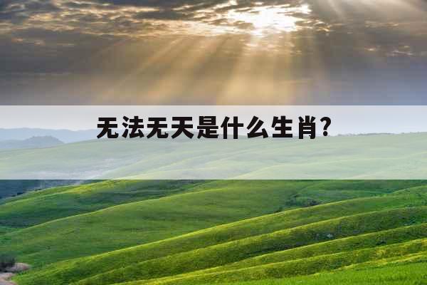 无法无天是什么生肖? 