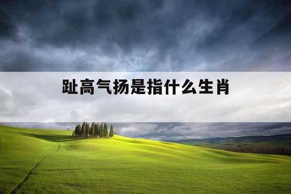 趾高气扬是指什么生肖 