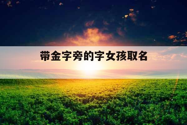 带金字旁的字女孩取名  带金字旁的字女孩取名