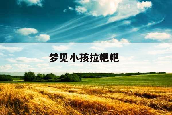 梦见小孩拉粑粑 