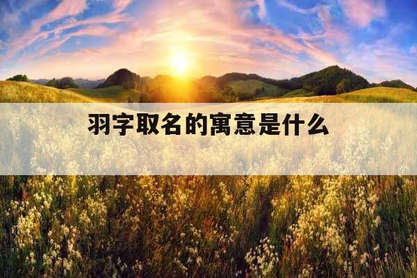 羽字取名的寓意是什么 