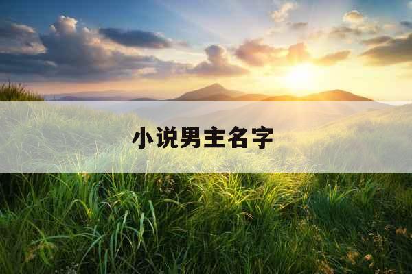 小说男主名字 
