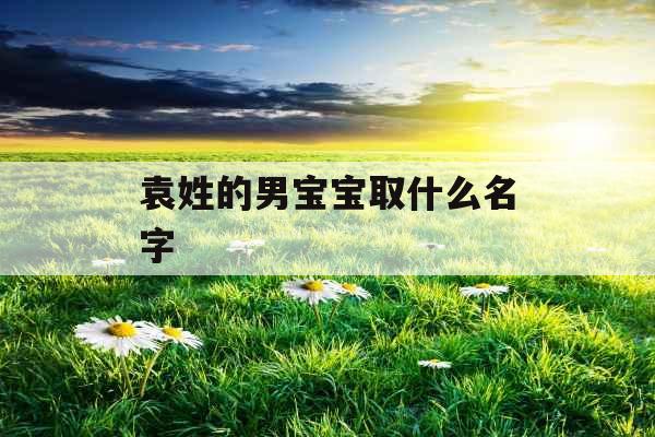 袁姓的男宝宝取什么名字 