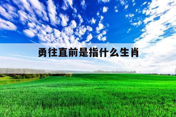 勇往直前是指什么生肖 勇往直前是指什么生肖
