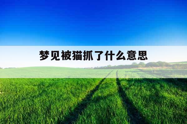 梦见被猫抓了什么意思 