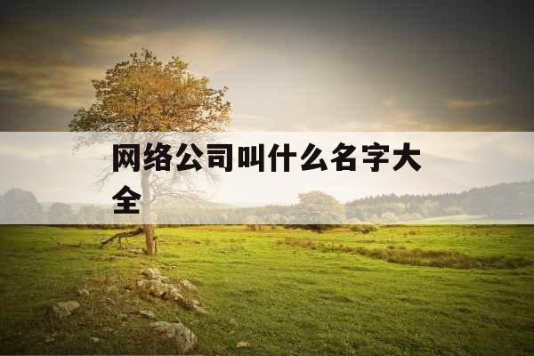 网络公司叫什么名字大全 