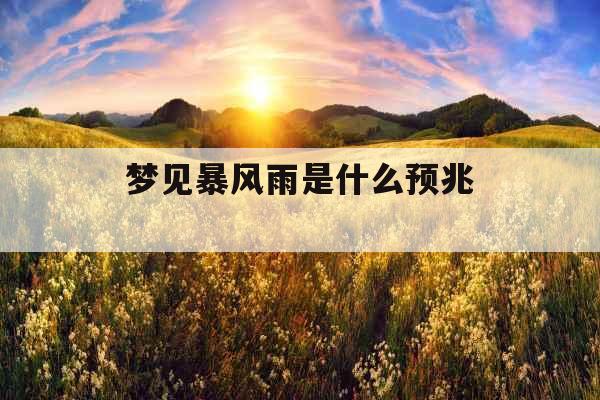 梦见暴风雨是什么预兆