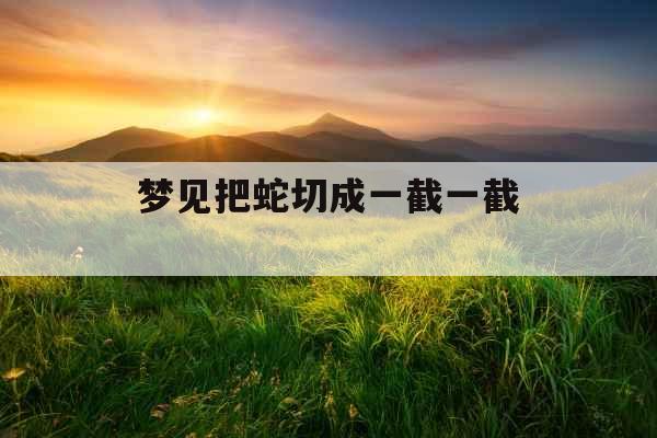 梦见把蛇切成一截一截