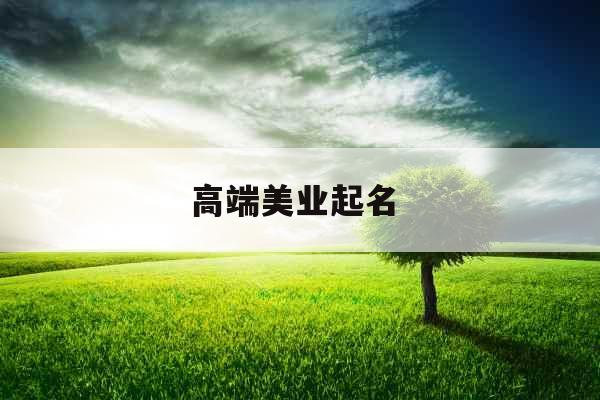 高端美业起名 