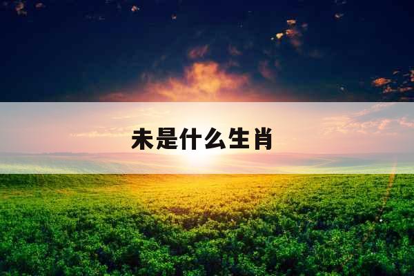 未是什么生肖  未是什么生肖