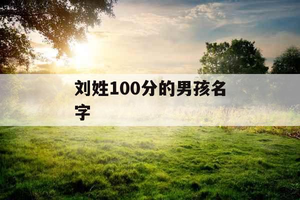 刘姓100分的男孩名字 