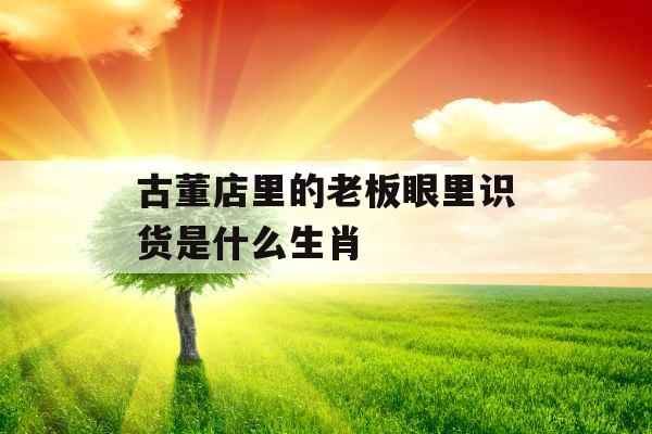 古董店里的老板眼里识货是什么生肖 